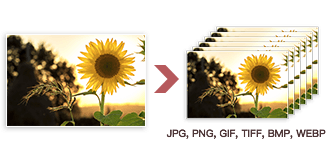 heic to jpg, png converter