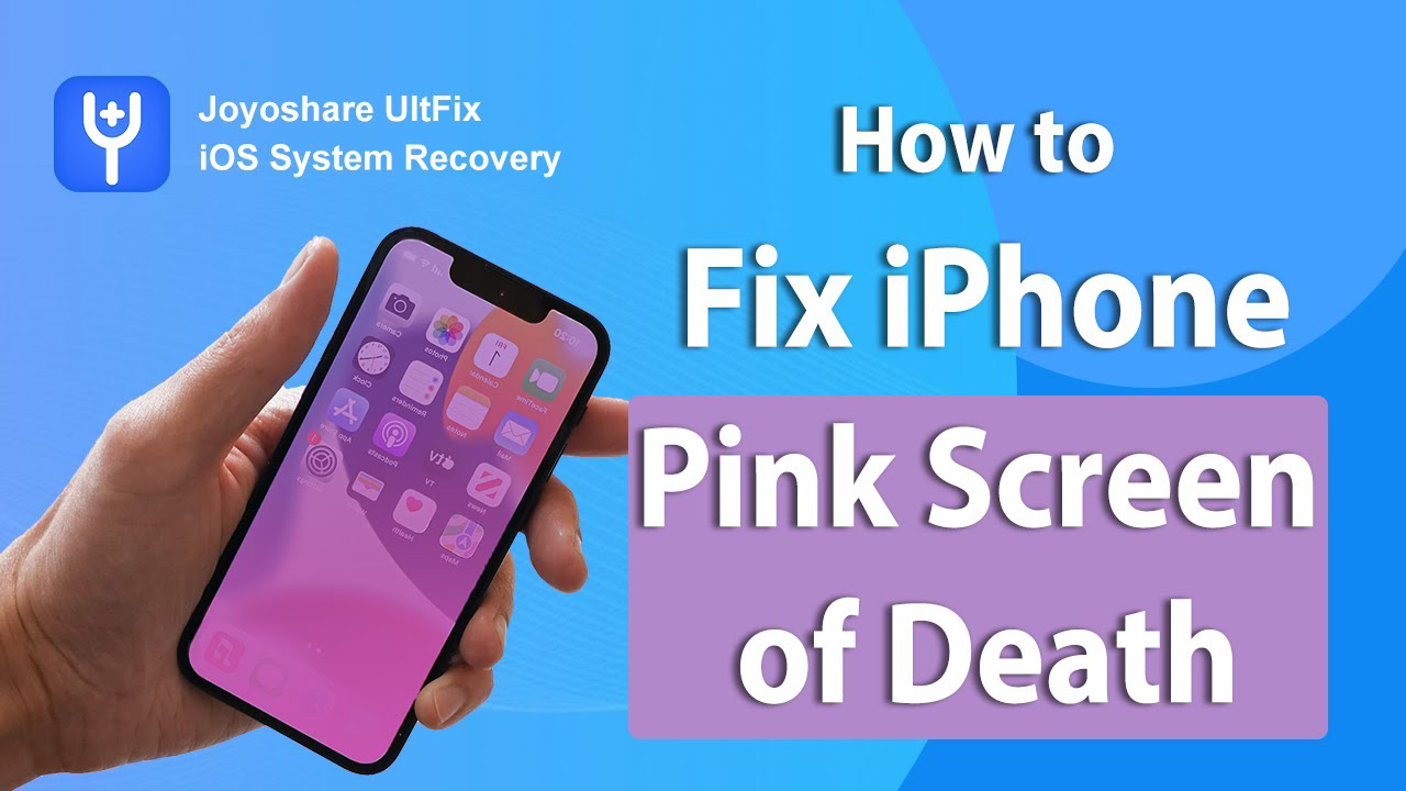 7 Fixes to iPhone Pink Screen of Death [iOS 18]