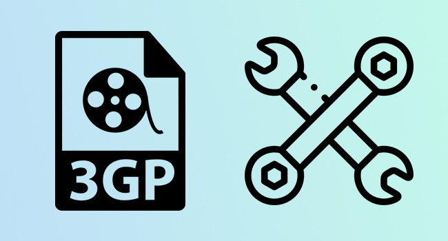 3gp video not playing