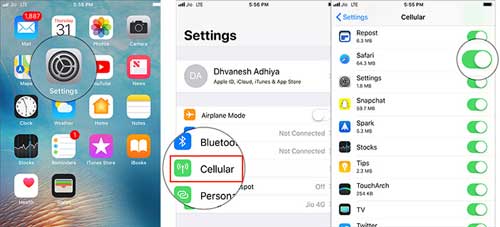 allow safari cellular iphone