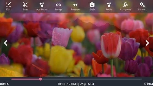androvid video editor androvid video editor