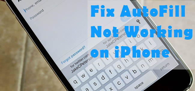 autofill not working on iphone