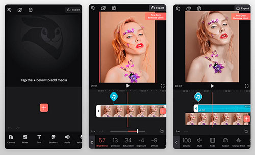 brighten video on iphone videoleap