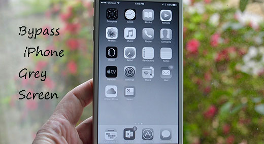 iphone grey screen