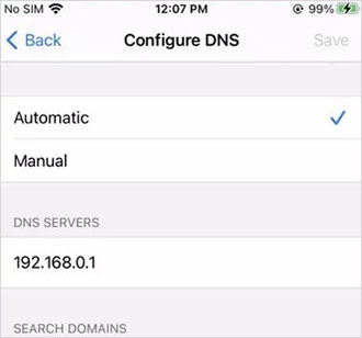 configure dns iphone