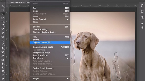 content aware fill photoshop