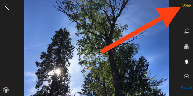 convert live photos to still edit