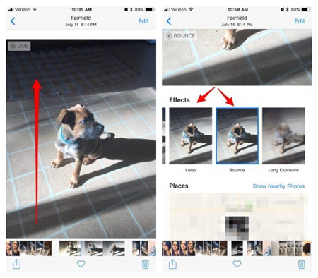 convert live photo to gif directly