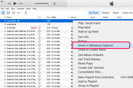 cut music on itunes 5
