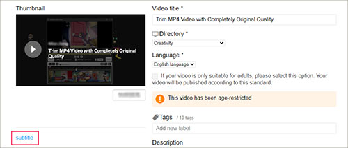 dailymotion subtitle tool