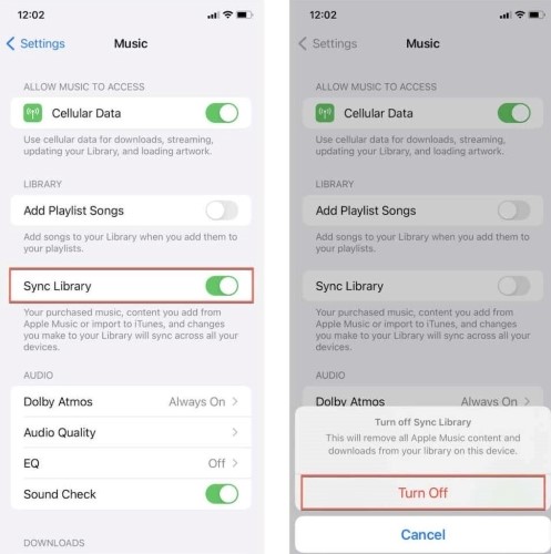 disable and reenable the library sync