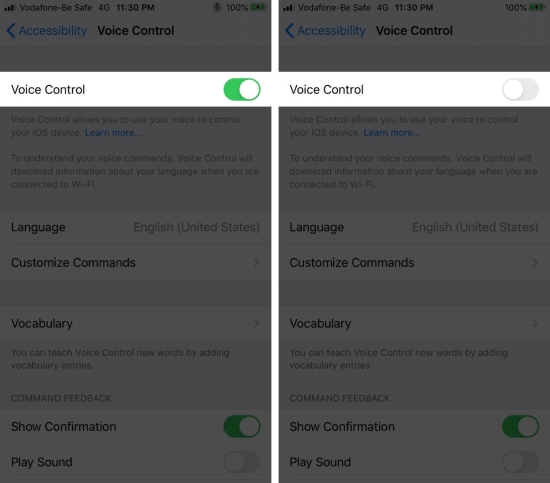 disable voice control iphone