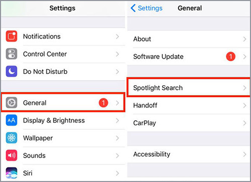 re-enable spotlight search