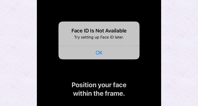 face id not available