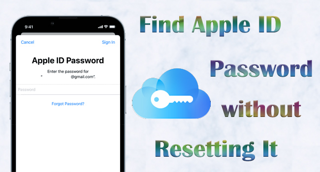 how to find apple id password without resetting it