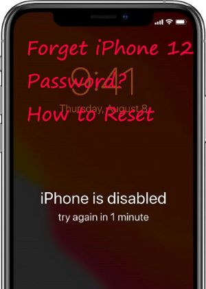Forgot on sale iphone pin