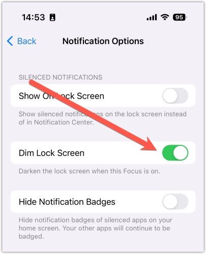 remedy notification options