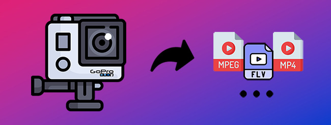 gopro video converter