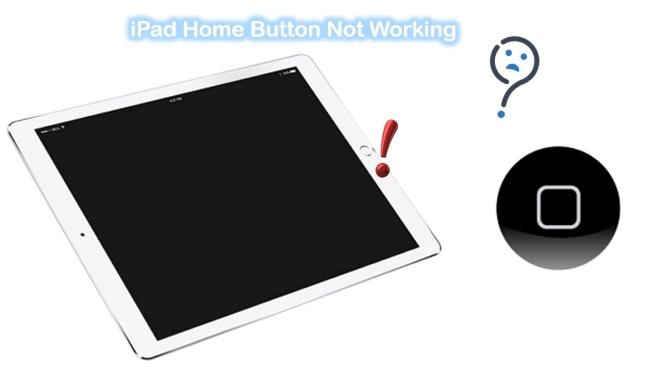 ipad home button not working