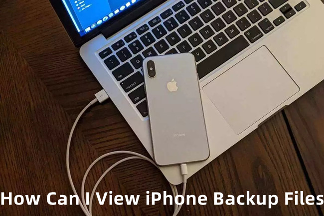 how can i view my iphone backups