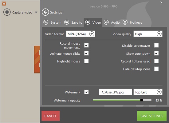 watermark settings in icecream screen recorder