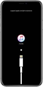 iphone connects itunes