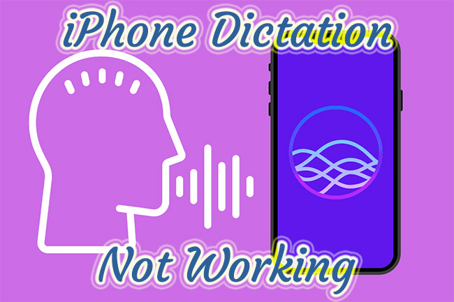 iphone dictation not working