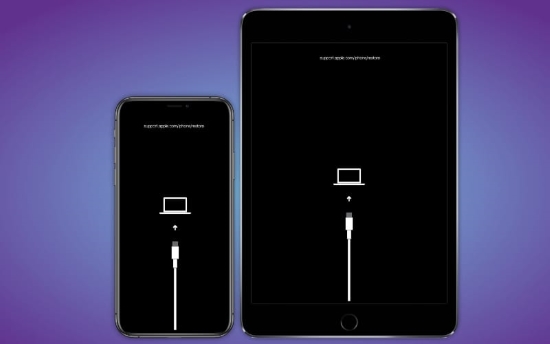 put iphone or ipad into recovery mode