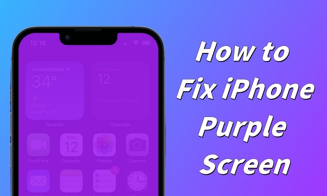 iphone purple screen