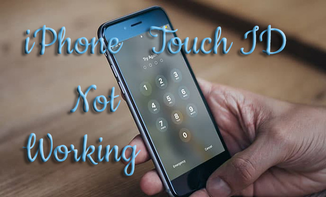 touch id not working on iphone 8 after screen replacement