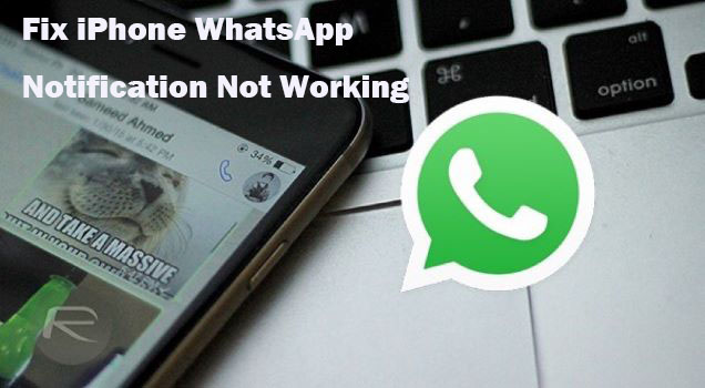 iphone whatsapp notification not working