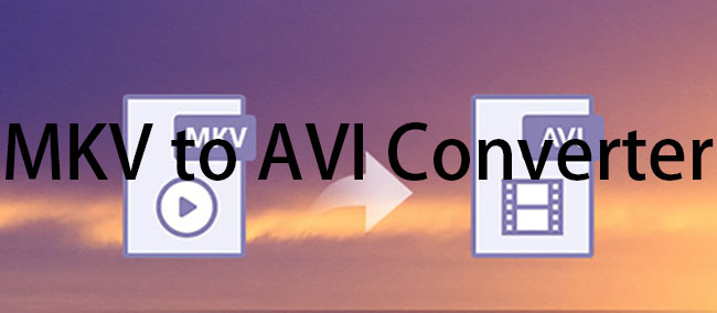 mkv to avi converter