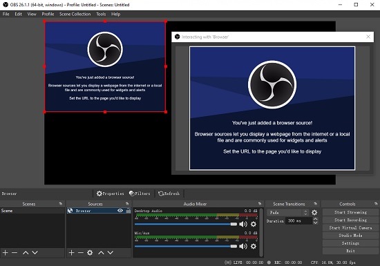 how to make a computer program interact with a web browser