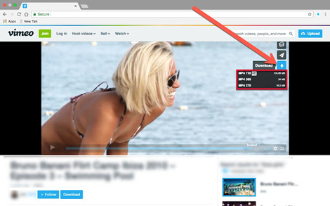 official vimeo download