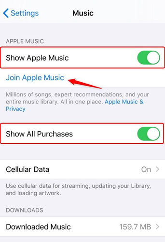 open apple music in settings