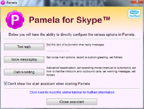 pamela for skype
