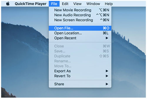 quicktime player