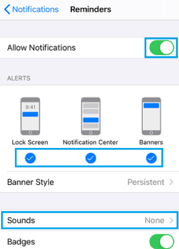 check reminder notifications settings on iphone