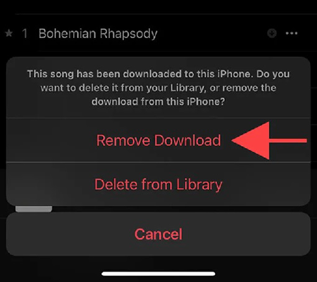 remove download apple music