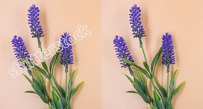 remove shutterstock watermark