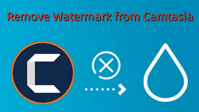 remove camtasia watermark