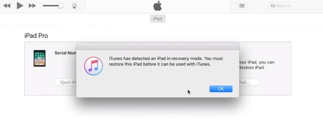 unlock ipad via recovery mode
