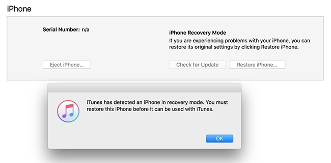 run iphone in recovery mode