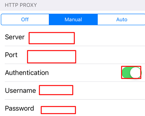 manually set proxy settings