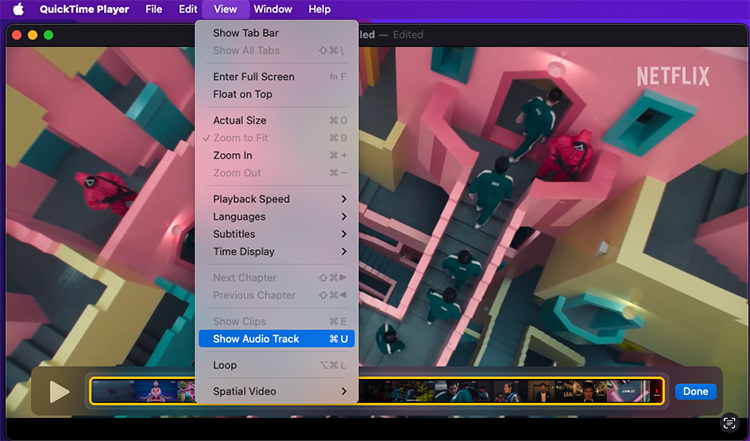 show audio track in quicktime
