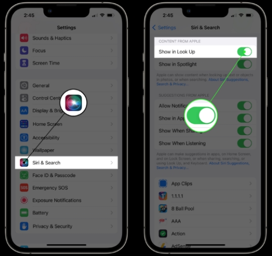 enable show in look up