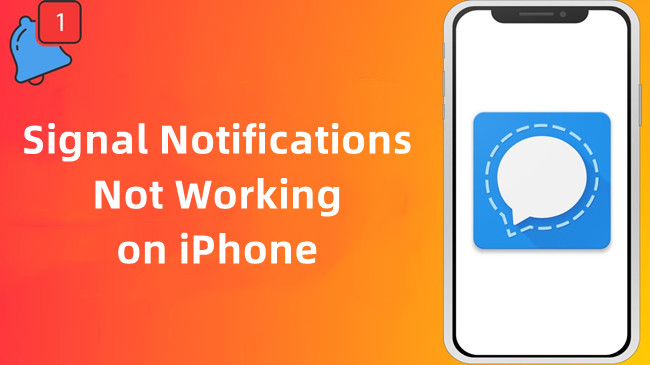 signal notifications not working on iphone