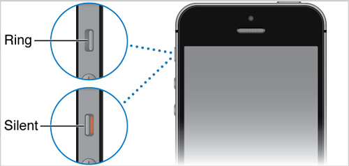 check volume and mute switch