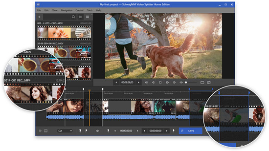 SolveigMM Video Splitter SolveigMM Video Splitter