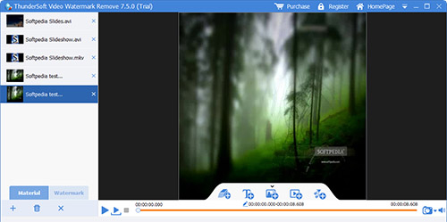 thundersoft video watermark remove